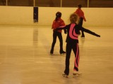 Taitoluistelu 2011